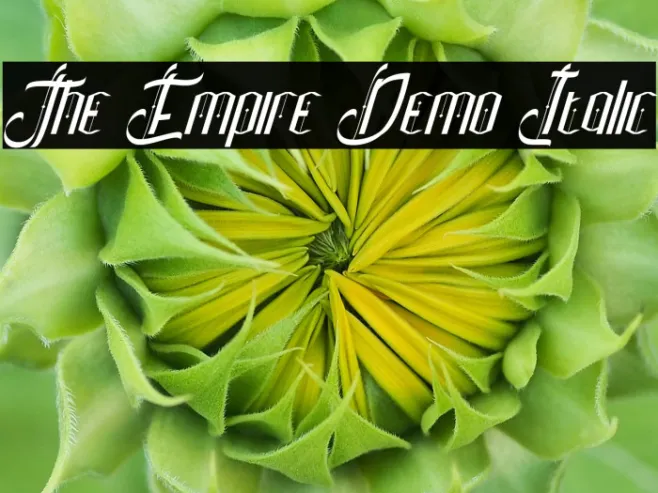 The Empire Demo Italic Example 2
