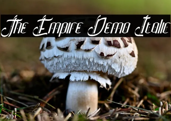 The Empire Demo Italic Example 3