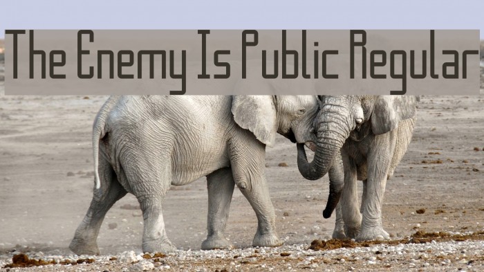 The Enemy Is Public Regular Font examples