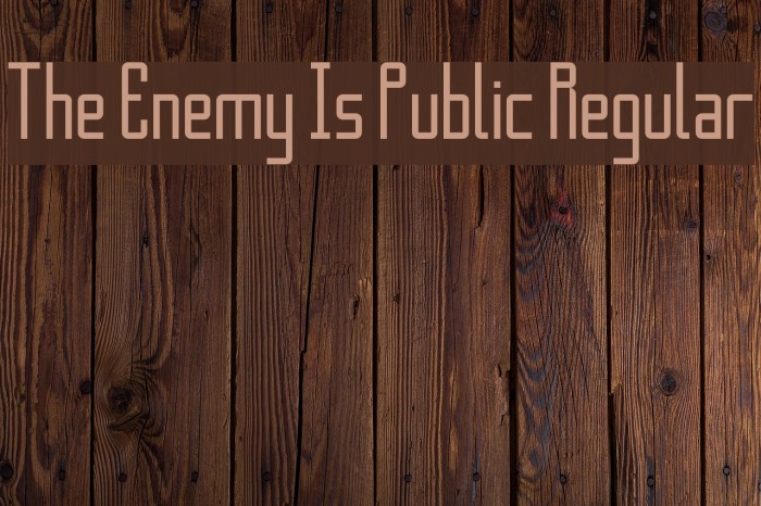 The Enemy Is Public Regular Font examples