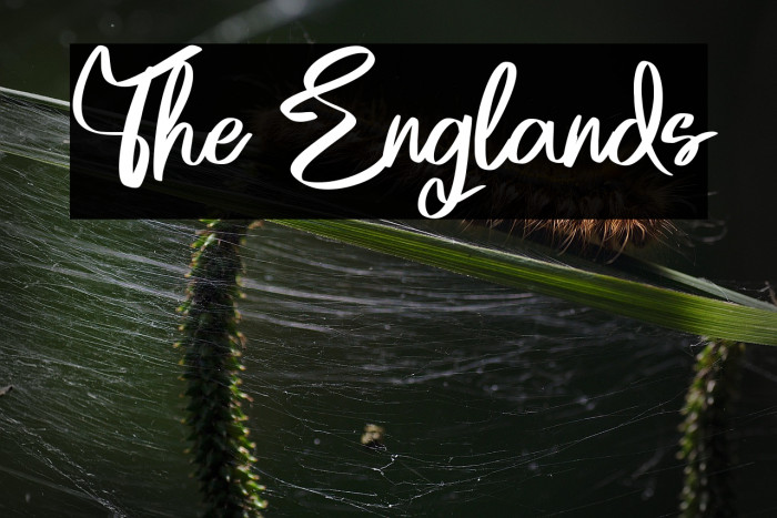 The Englands Example 2