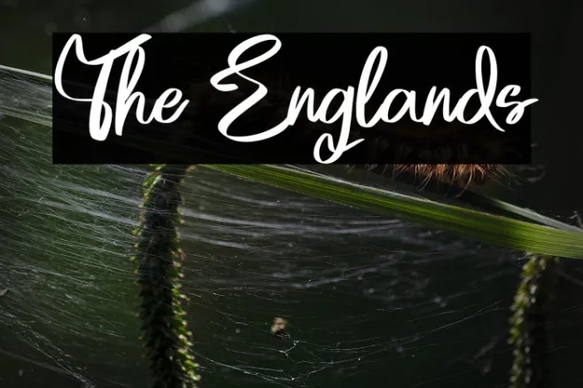 The Englands Example 2