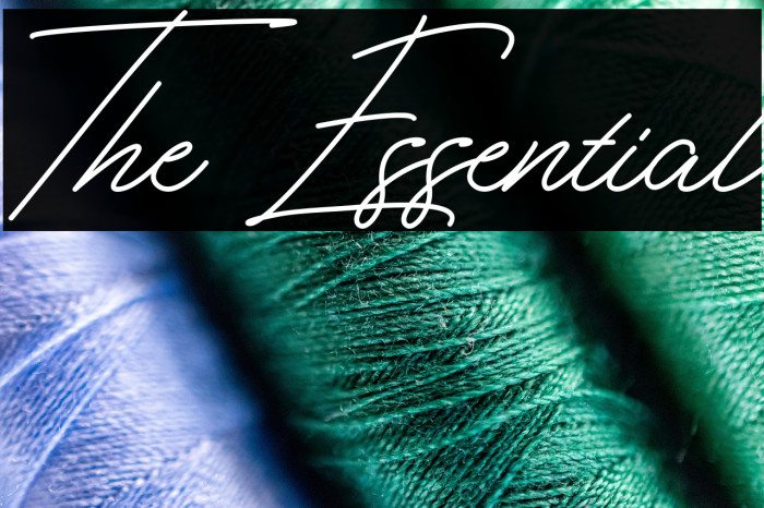 The Essential Example 1