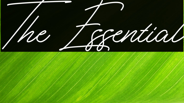 The Essential Example 2