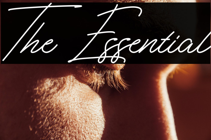 The Essential Example 3