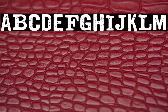 The Estampada Example 2