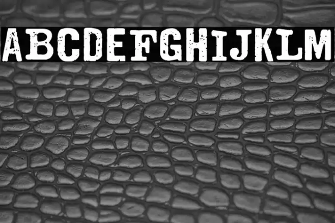 The Estampada Font examples