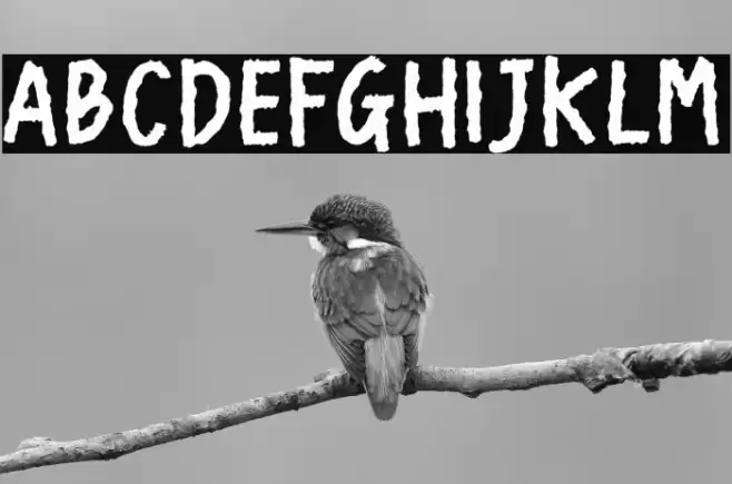 The Ever Awkward Font examples