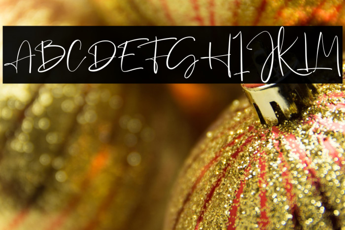 The Everleigh Example 1