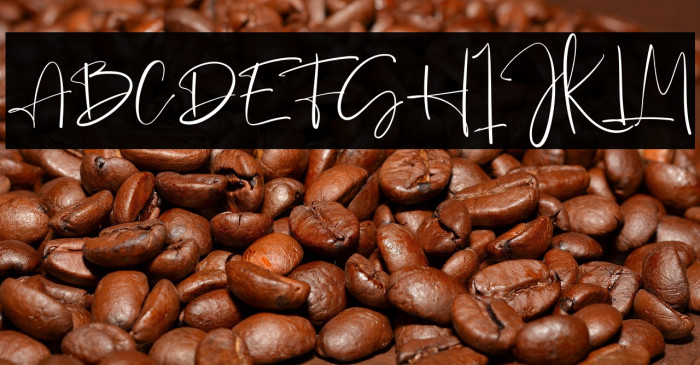 The Everleigh Example 3