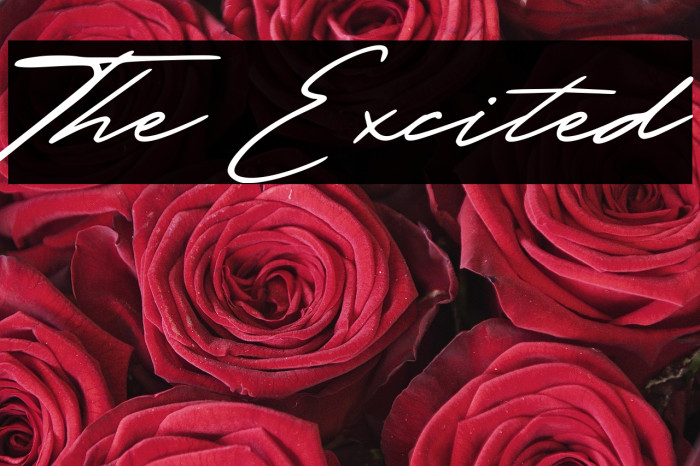 The Excited Example 3