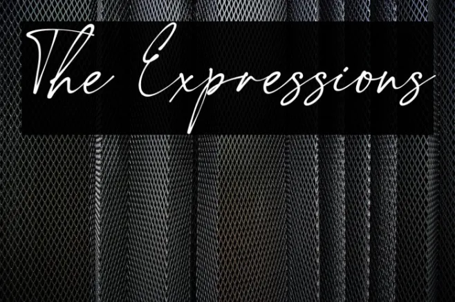 The Expressions Example 1
