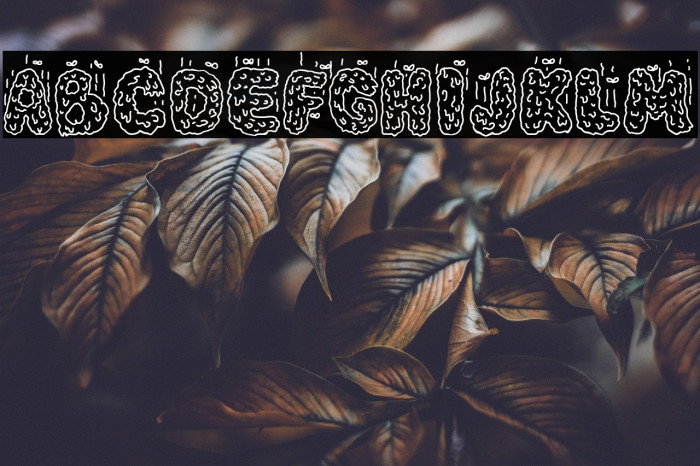 The Fabulous Mr. Poop Example 3