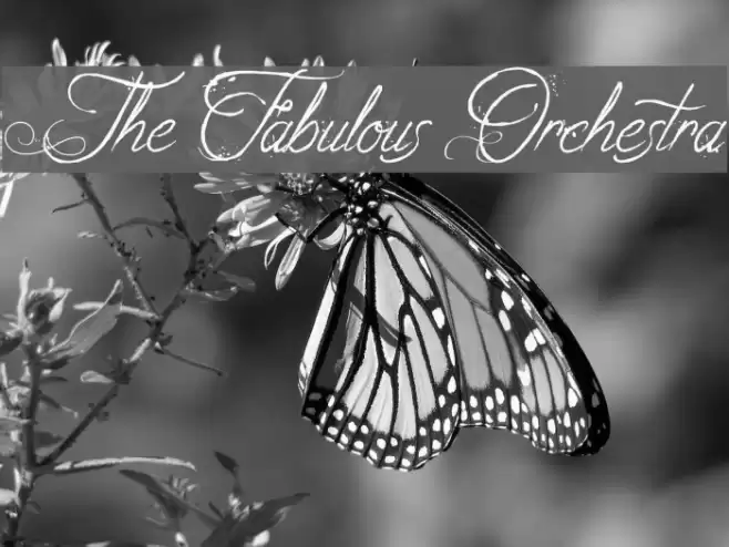 The Fabulous Orchestra Font examples