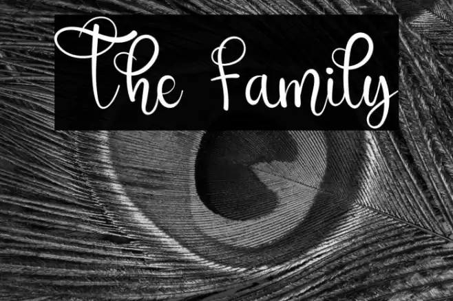 The Family Font examples