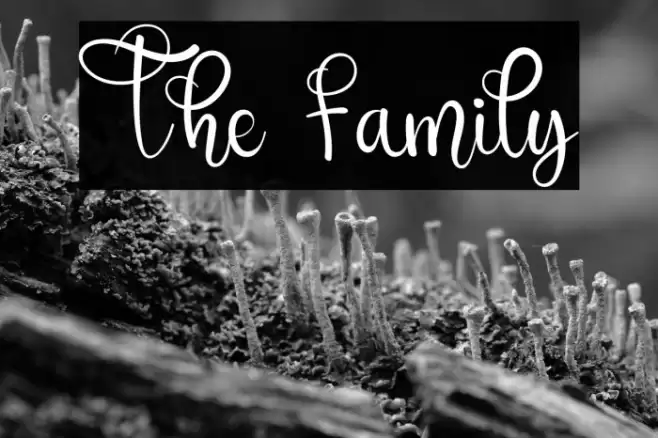 The Family Font examples