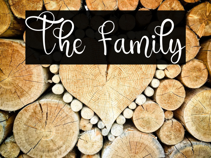 The Family Example 3