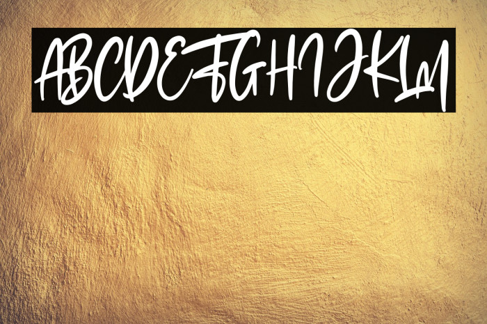 The Fashionist Personal Use Example 2