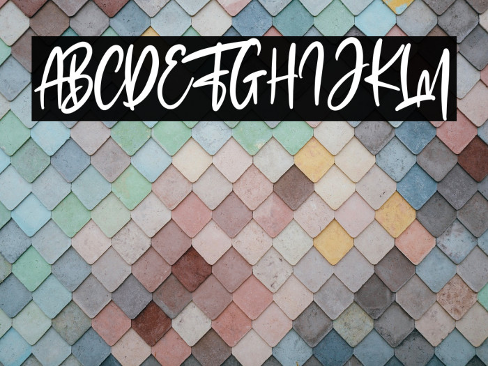 The Fashionist Personal Use Example 3