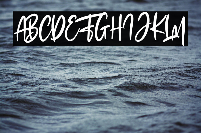 The Fashionist Personal Use Example 1