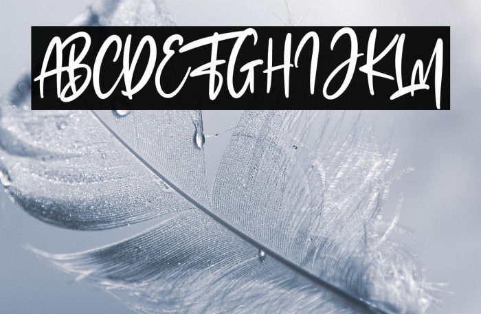 The Fashionist Personal Use Example 2