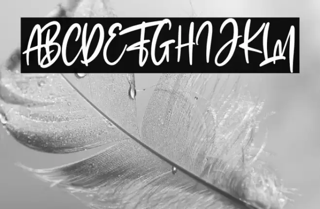 The Fashionist Personal Use Font examples