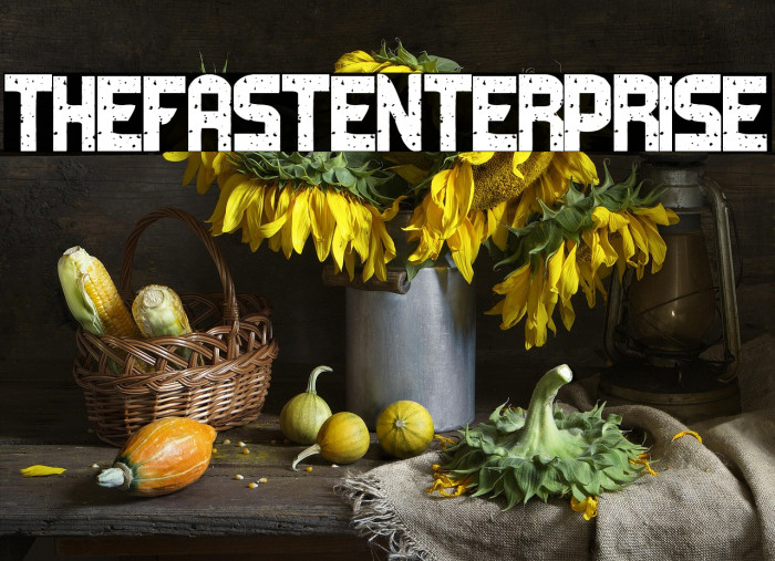 The Fast Enterprise Example 1