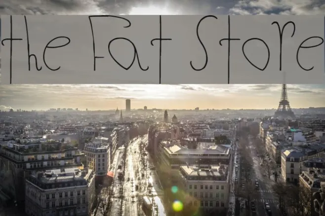 The Fat Store Example 1