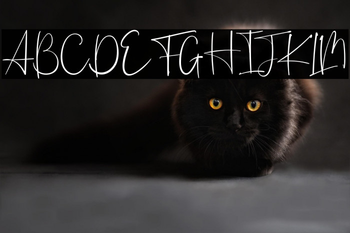 The Feeling Example 1