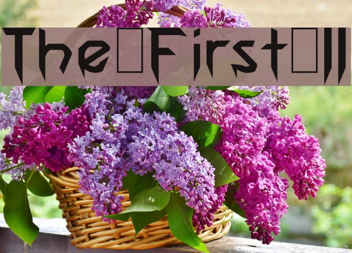 The First II Font examples