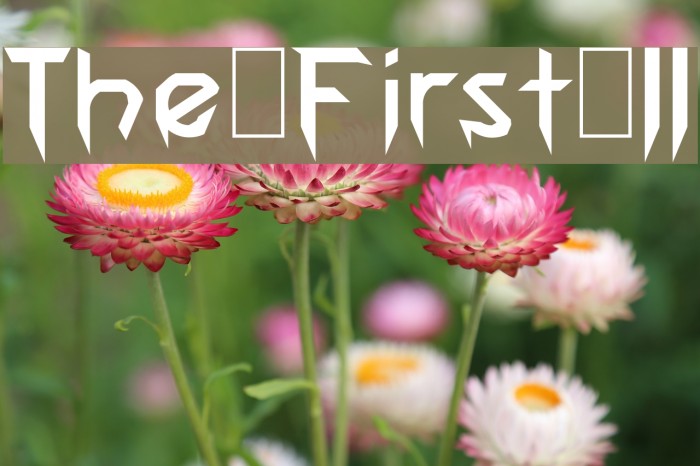The First II Font examples
