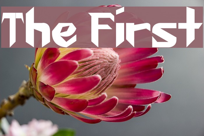 The First Font examples