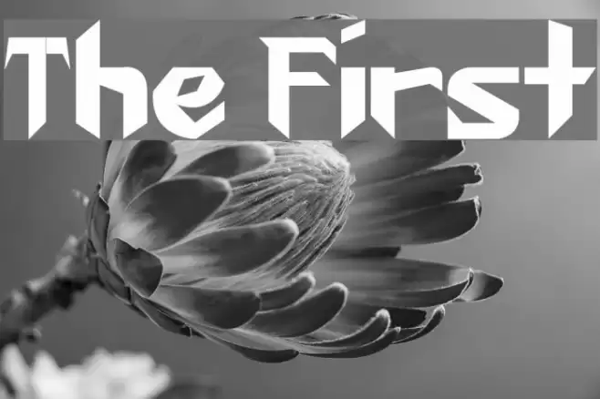 The First Fonte examples