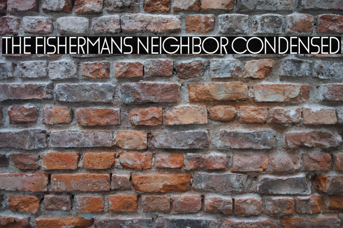 The Fishermans Neighbor Condensed Example 1