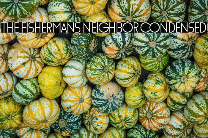 The Fishermans Neighbor Condensed Example 3