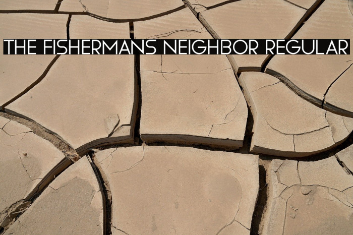 The Fishermans Neighbor Regular Example 3