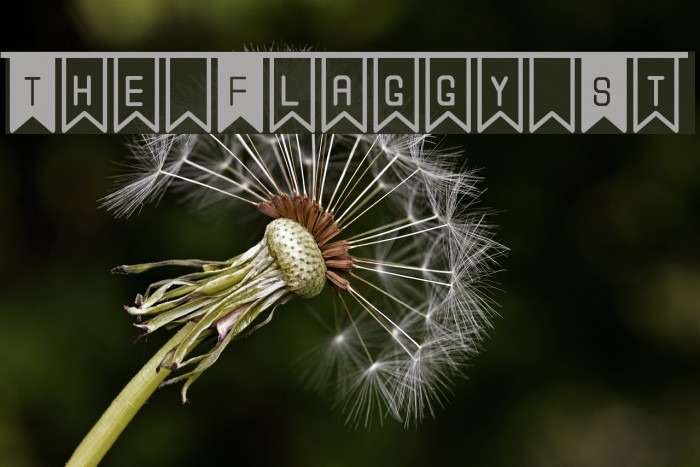 The Flaggy St Font examples