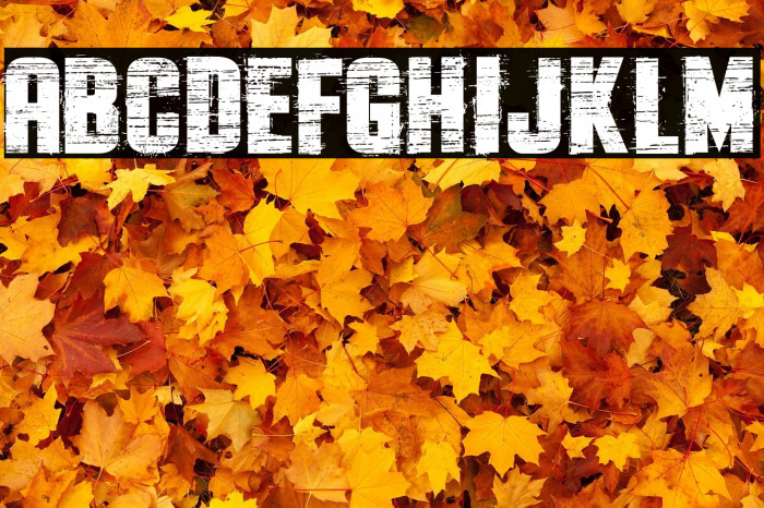 The Flast Demo Example 2