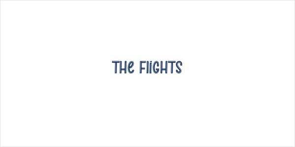 The Flights Logo