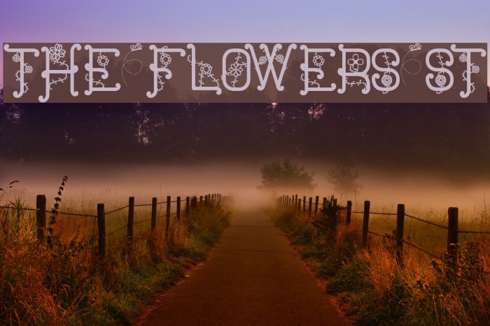 The Flowers St Font examples