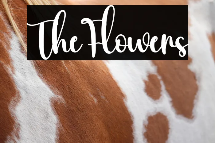 The Flowers Example 1