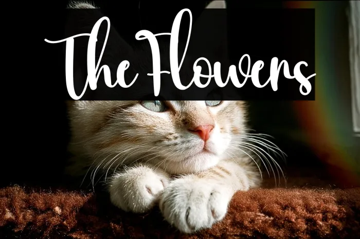 The Flowers Example 3