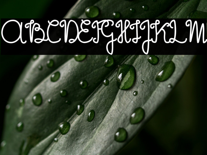 The Flowery Spring Example 1