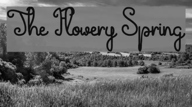 The Flowery Spring Font examples