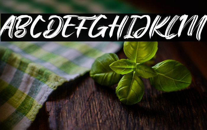 The Flybirds Example 1