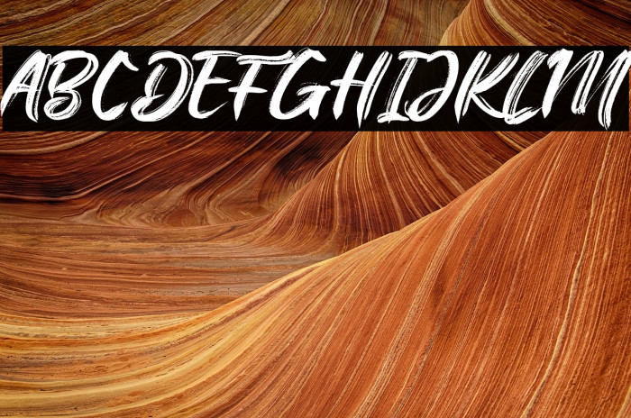 The Flybirds Example 2