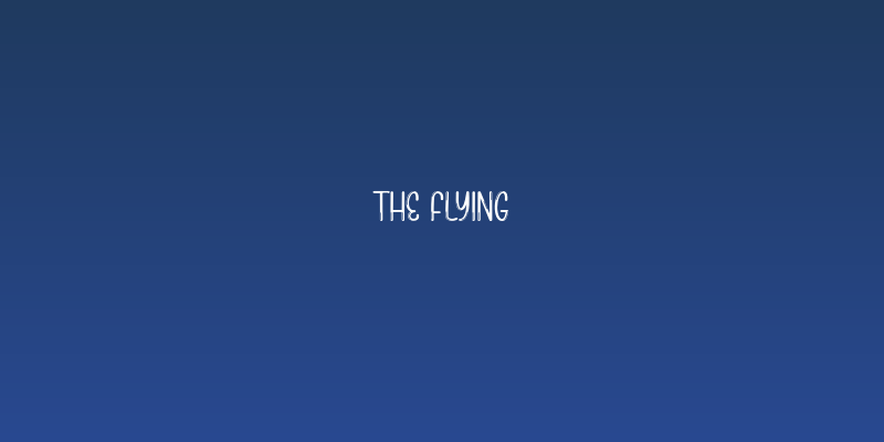 The Flying Social Header