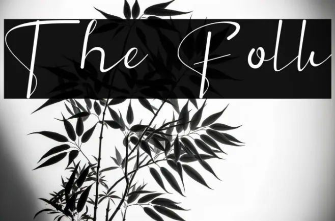 The Folk Example 3