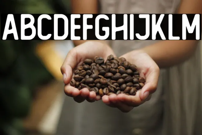 The Foregen Regular Example 2