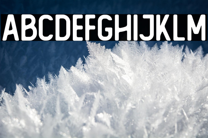 The Foregen Regular Example 2